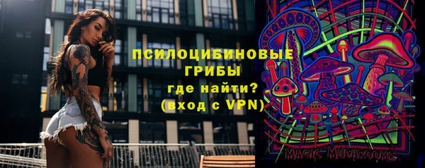 ALPHA-PVP Алексеевка